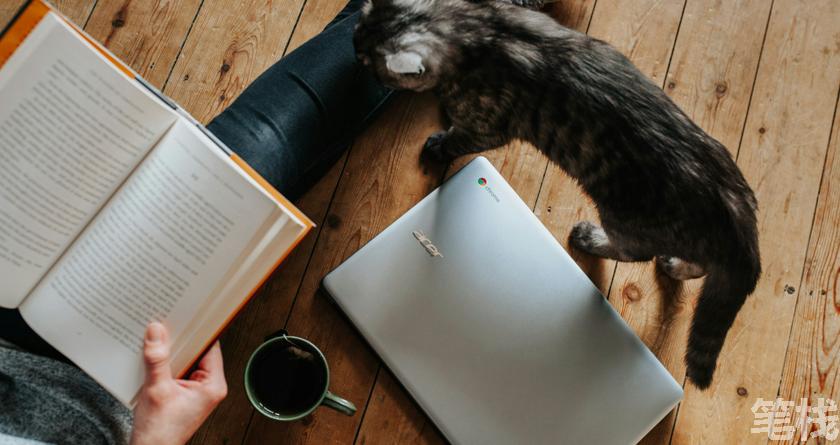 笔栈降AI率,笔栈降AI官网,笔栈降AIGC率,笔栈论文查重系统
