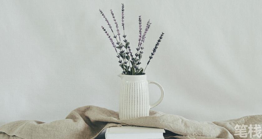 笔栈降AI率,笔栈降AI官网,笔栈降AIGC率,笔栈论文查重系统
