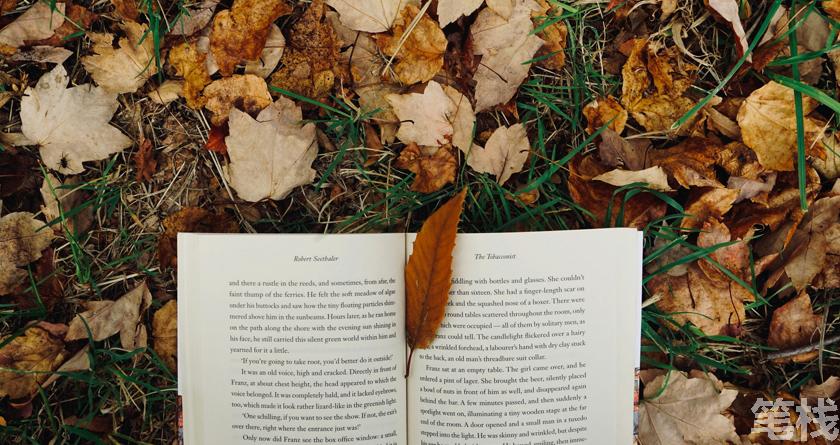 笔栈降AI率,笔栈降AI官网,笔栈降AIGC率,笔栈论文查重系统
